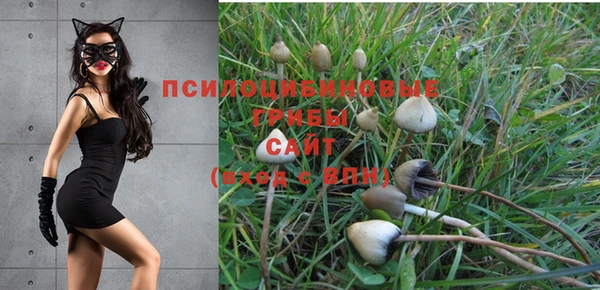 каннабис Аркадак