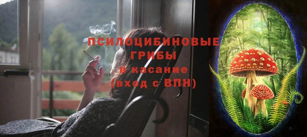 крисы Армянск