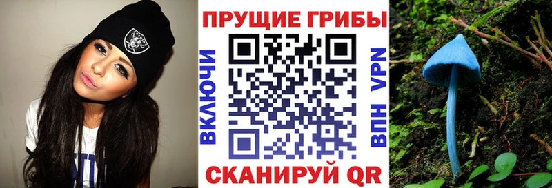 Псилоцибиновые грибы Psilocybine cubensis  дарнет шоп  Светлогорск 